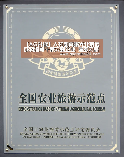 【AG升级】人社部再曝光北京远成物流等十家欠薪企业 最多欠薪近1500万(图4) AG升级