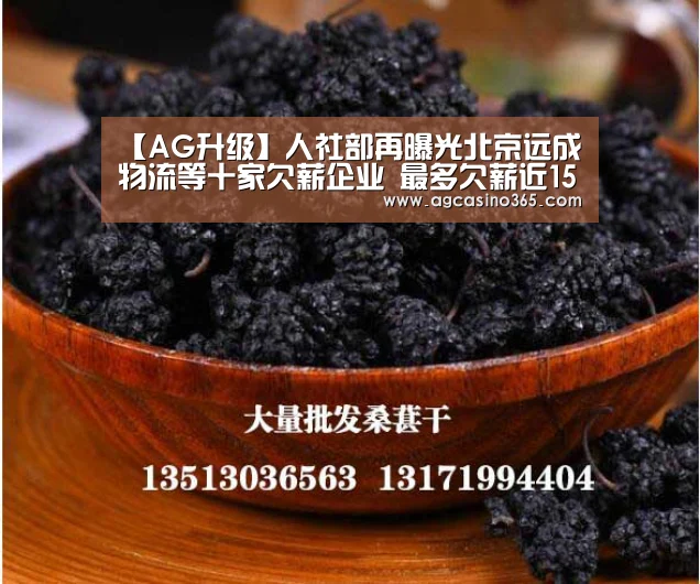 【AG升级】人社部再曝光北京远成物流等十家欠薪企业 最多欠薪近1500万(图1) AG电竞